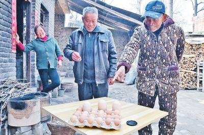 河南农户家中母鸡产下“超级”鸡蛋 重达208克