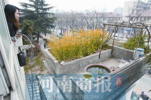 郑州市民楼顶上建“空中花园” 有花草有水果