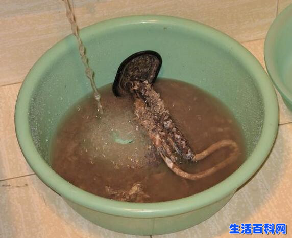 电热水器除垢妙招,教你不花钱轻松去除电热水