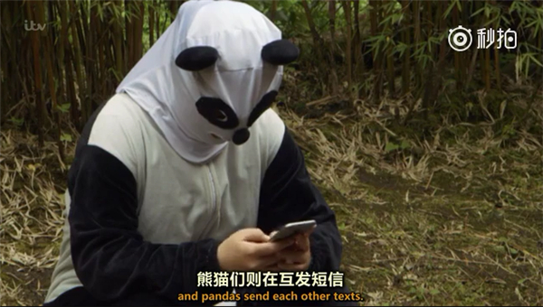 国拍纪录片《熊猫宝宝》 出镜兽医全程痴汉笑