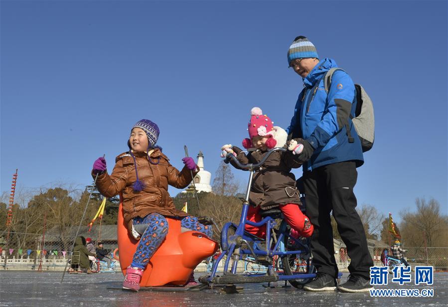 北京:各大公园人头攒动 春节乐游园(4)