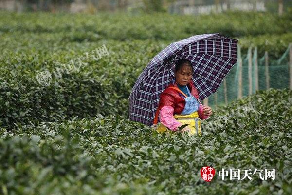 广西贵州等地局地猛跌10℃ 大范围雨雪减弱