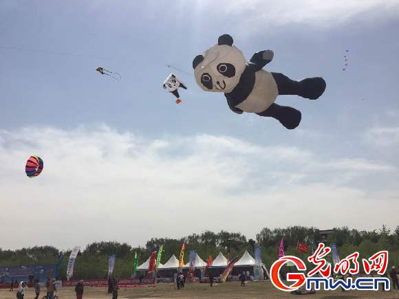 2017年北京国际风筝节暨京津冀风筝交流活动在北京园博园举办