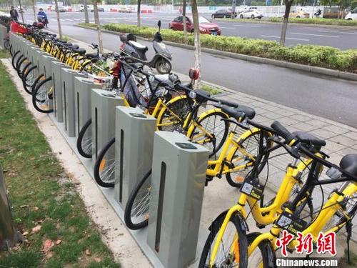 共享单车暴露骑行空间困境 部分城市无专用自行车道