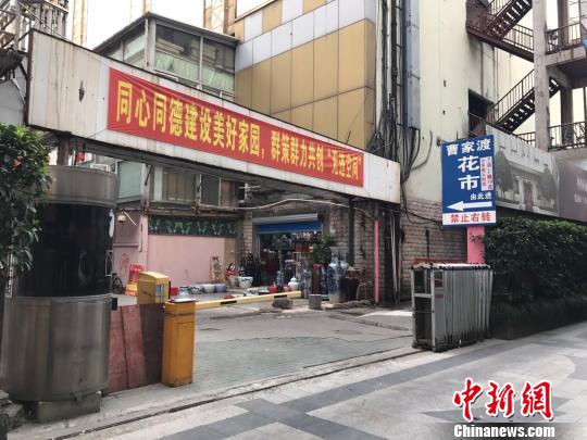 清仓减价留人气 清仓减价留人气上海市中心最大花市年底谢幕