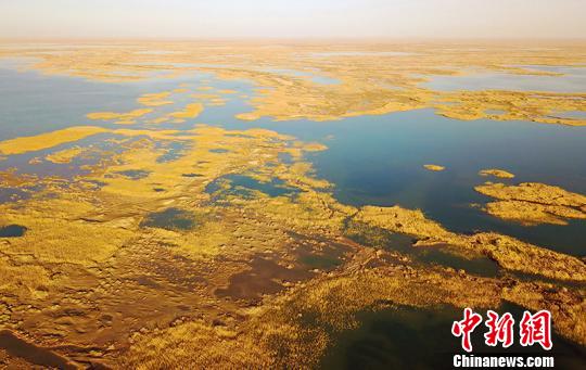 新疆今年向塔河下游生态输水9.7亿立方米创历史纪录