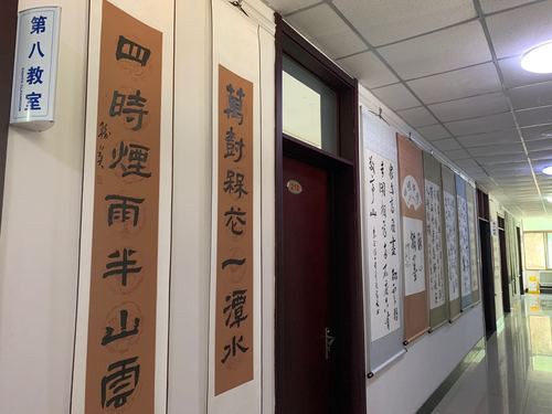 莫道桑榆晚：威海市老年大学让老年人老有所学、老有所乐