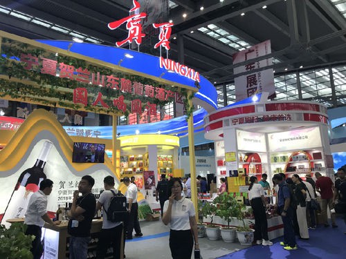 宁夏团文旅精品通过文博会“走出去” 尽显塞上江南风采