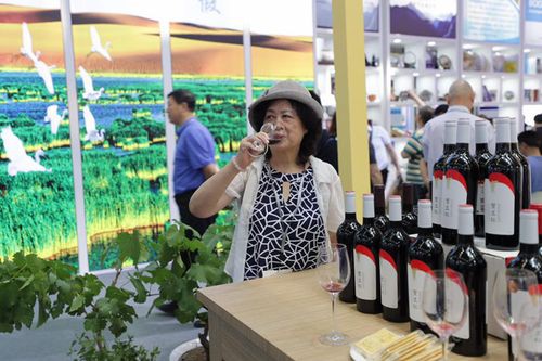 宁夏团文旅精品通过文博会“走出去” 尽显塞上江南风采