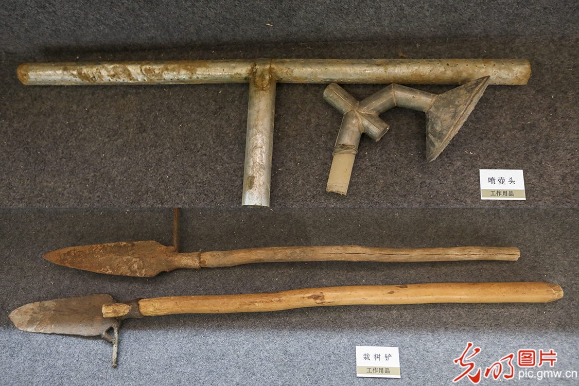 【新时代·幸福美丽新边疆】苏木山两代人的绿色守望