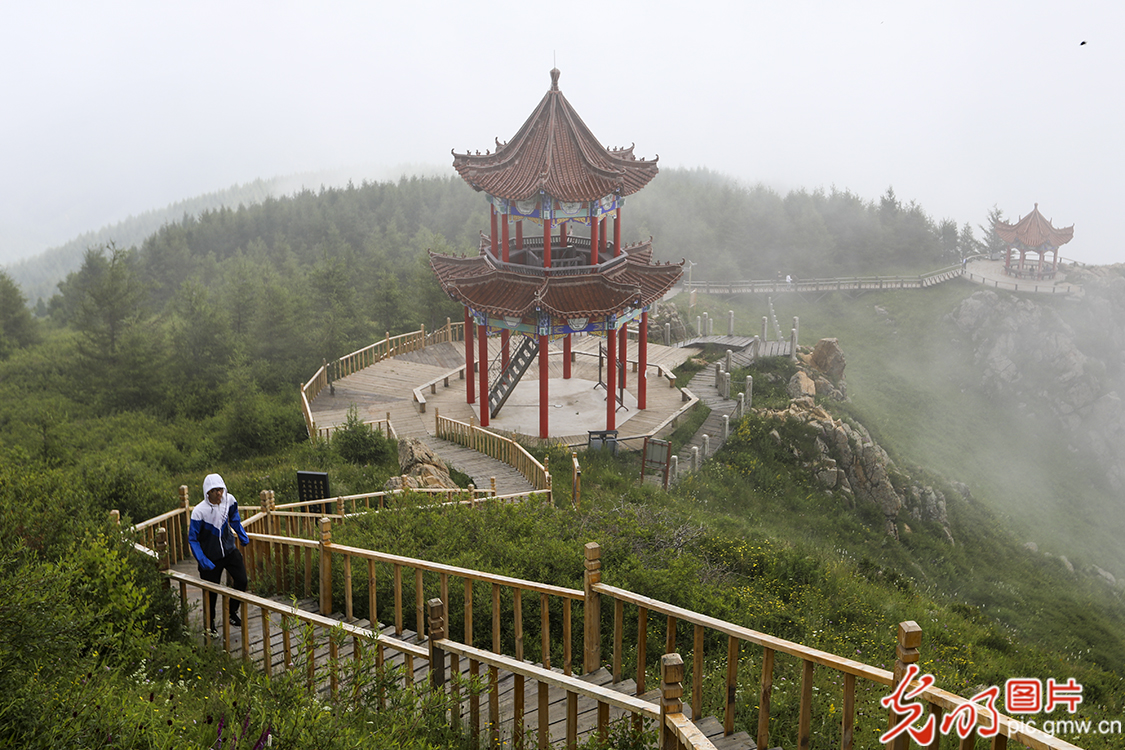 【新时代·幸福美丽新边疆】苏木山两代人的绿色守望