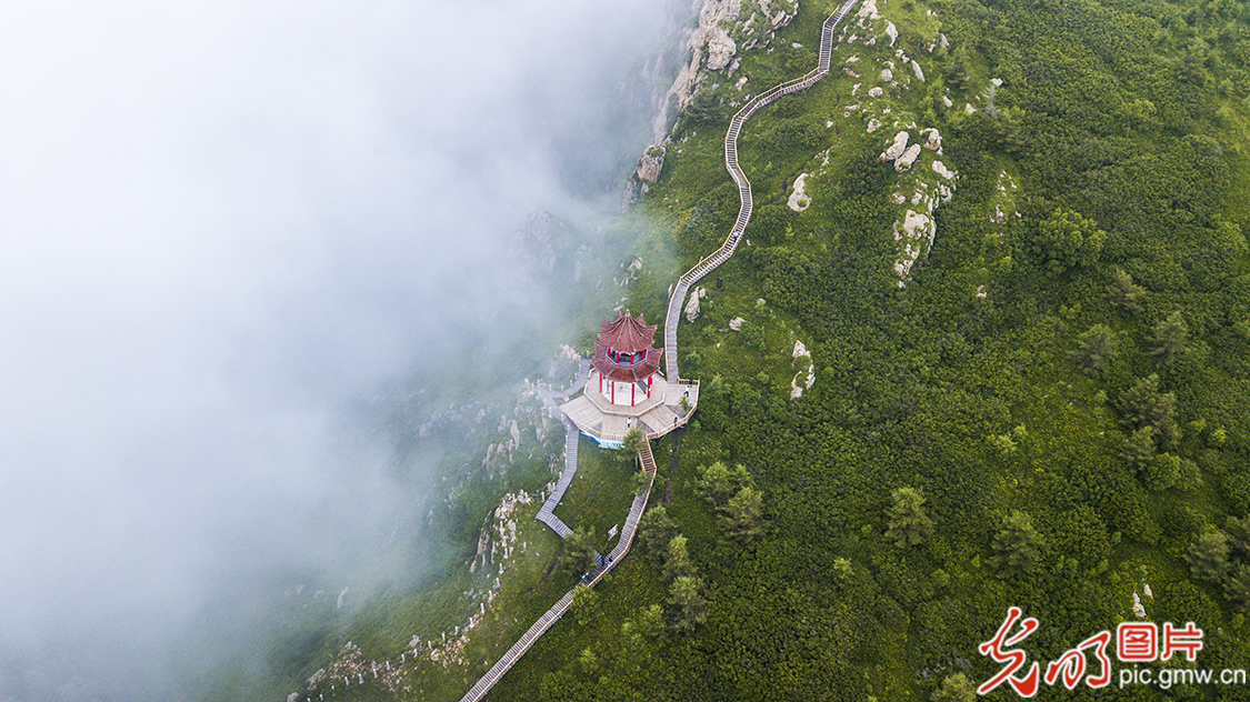 【新时代·幸福美丽新边疆】苏木山两代人的绿色守望