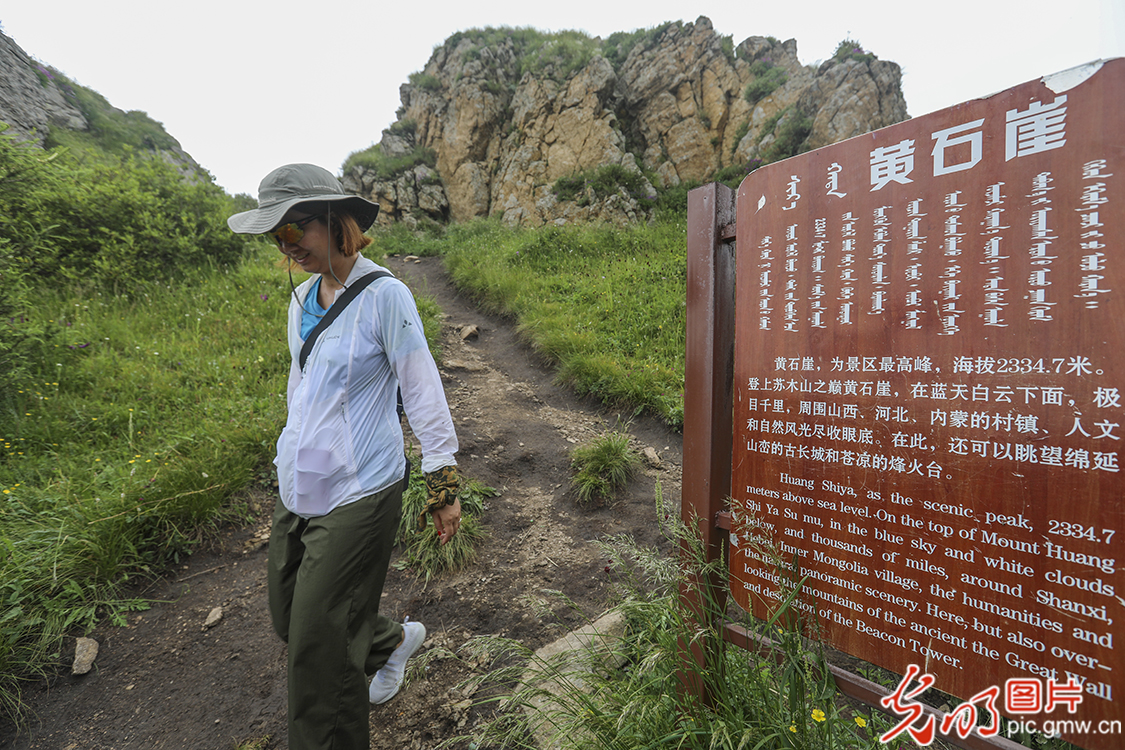 【新时代·幸福美丽新边疆】苏木山两代人的绿色守望