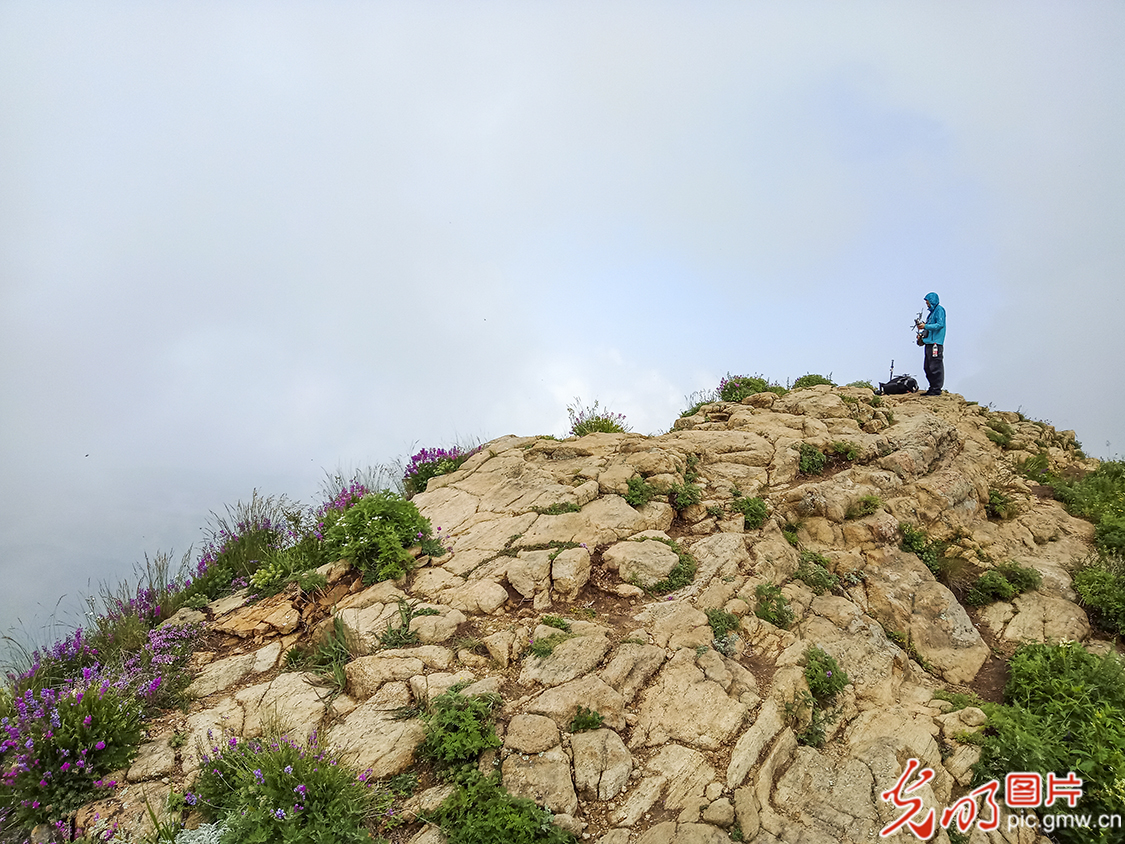 【新时代·幸福美丽新边疆】苏木山两代人的绿色守望