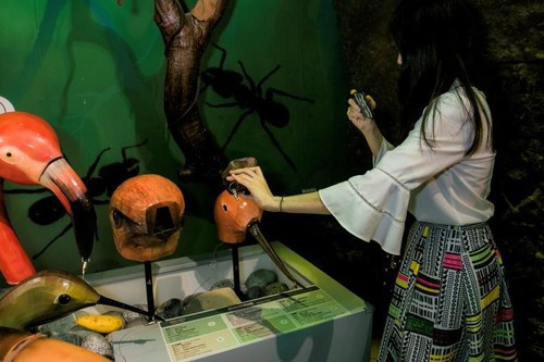 在室内热带雨林里感受自然