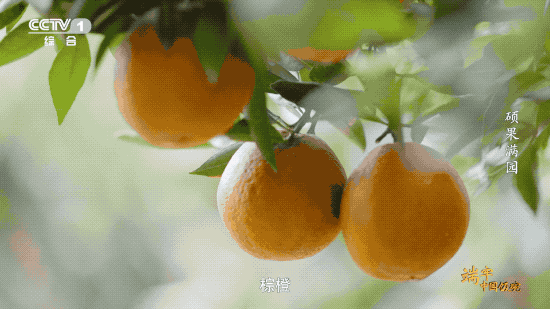 水果产量稳居世界第一，这是中国人创造的“水果奇迹”！