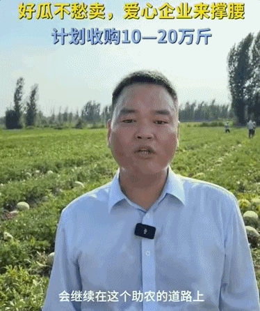 西瓜丰产却卖不上价 河南瓜农该怎么办?这场爱心接力给出了答案!