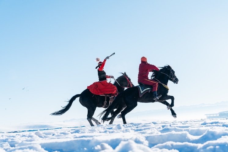昭苏特色农产品进京推介，打造边疆绿色产业新标杆