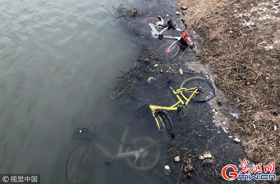 郑州：多辆共享单车被扔进河道“泡澡”