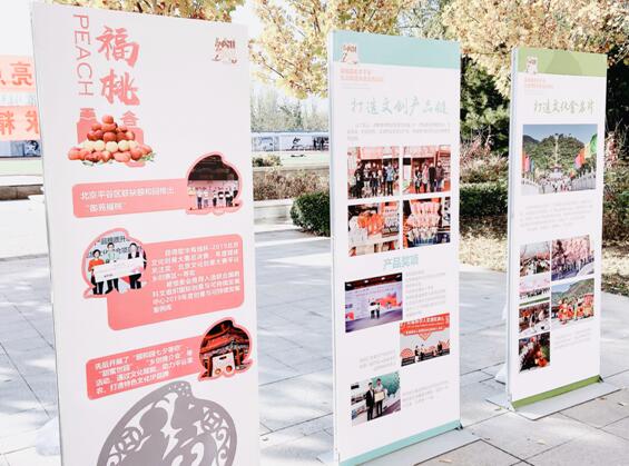 北京市平谷区举办第四届生态田园乡旅文创论坛