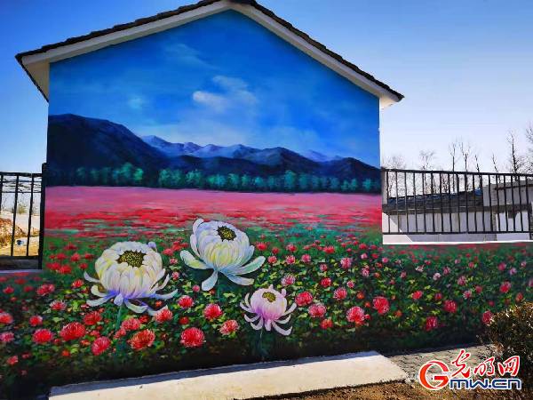 “美丽乡村”直播走进北京市平谷区大兴庄镇西柏店村赏菊海、品菊香