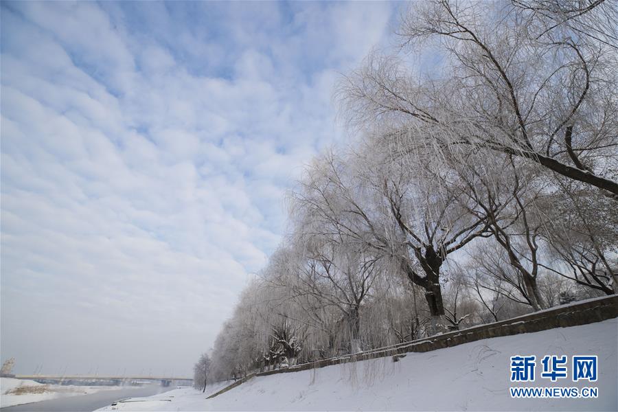 北京租房市场冷热不均 部分“适租”房源仍供不应求