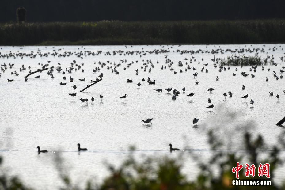 四川宜宾市兴文县发生4.1级地震 震源深度12千米