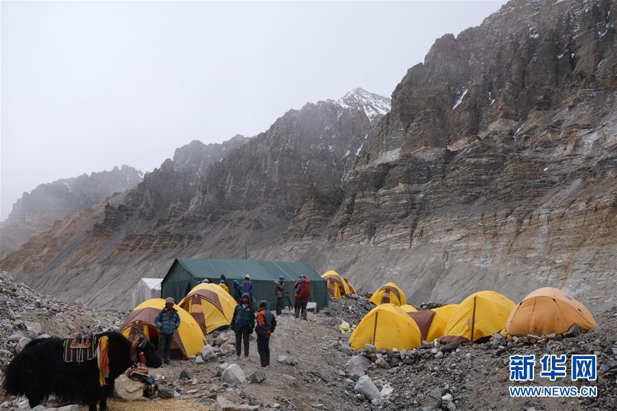 用图画书“玩”转数学 美国“新数学运动”经典作接地气亮相