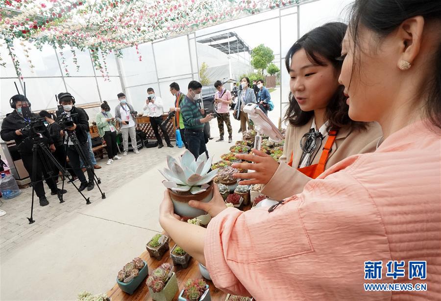 用图画书“玩”转数学 美国“新数学运动”经典作接地气亮相