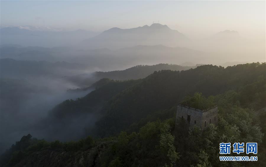 用图画书“玩”转数学 美国“新数学运动”经典作接地气亮相