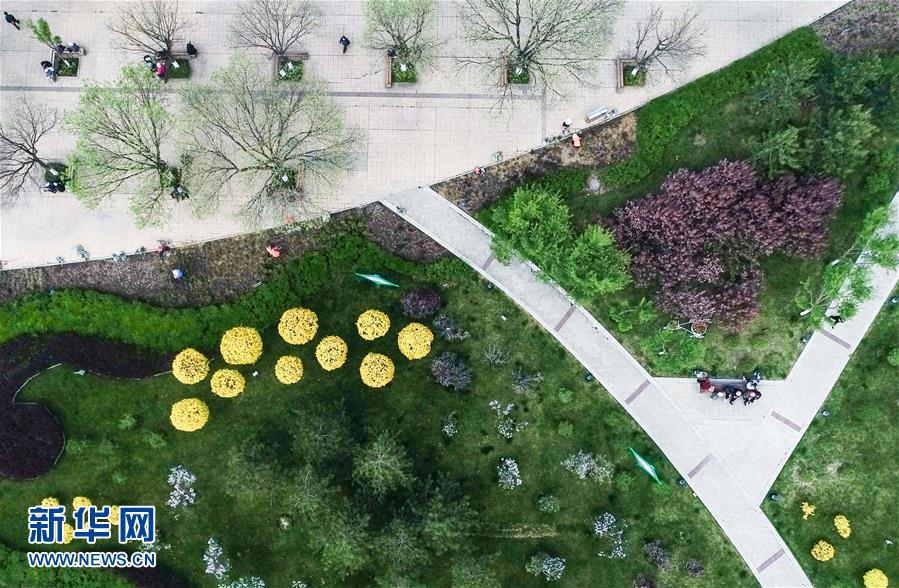 用图画书“玩”转数学 美国“新数学运动”经典作接地气亮相