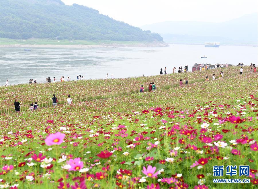 【一图读懂】国家卫生健康委出手，推进全民健康信息化，为基层减负！