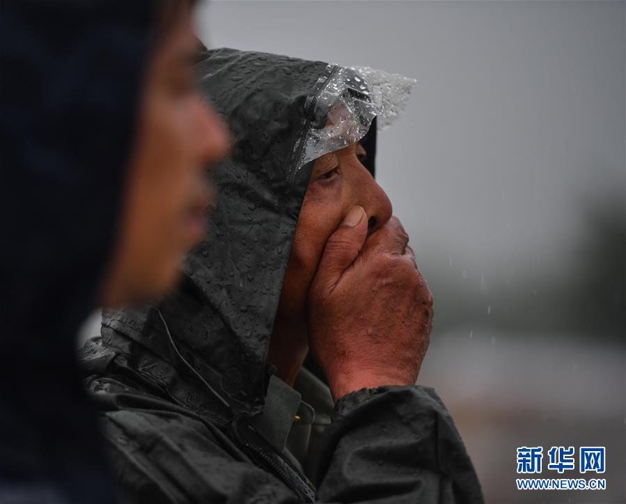 桃花水母现身海南五指山淡水井