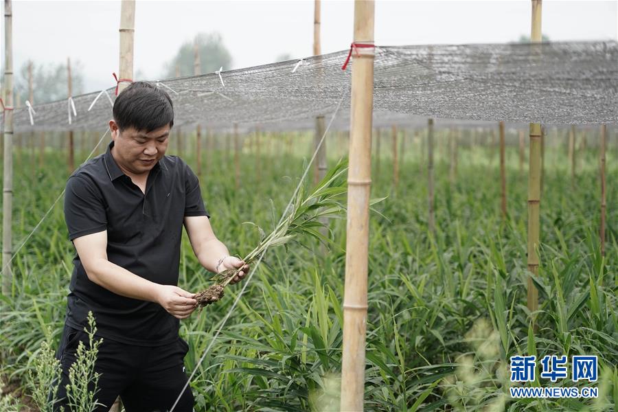 中整协发布全国第四批A等级医疗美容机构