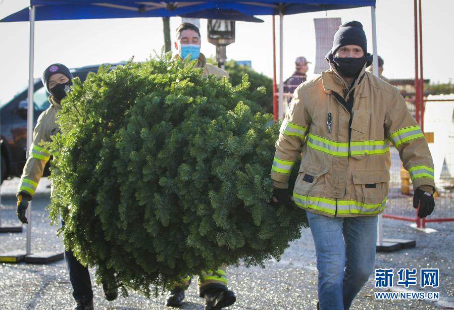 2020户外直播全网排_2020年国内最全的美女直播平台排行榜