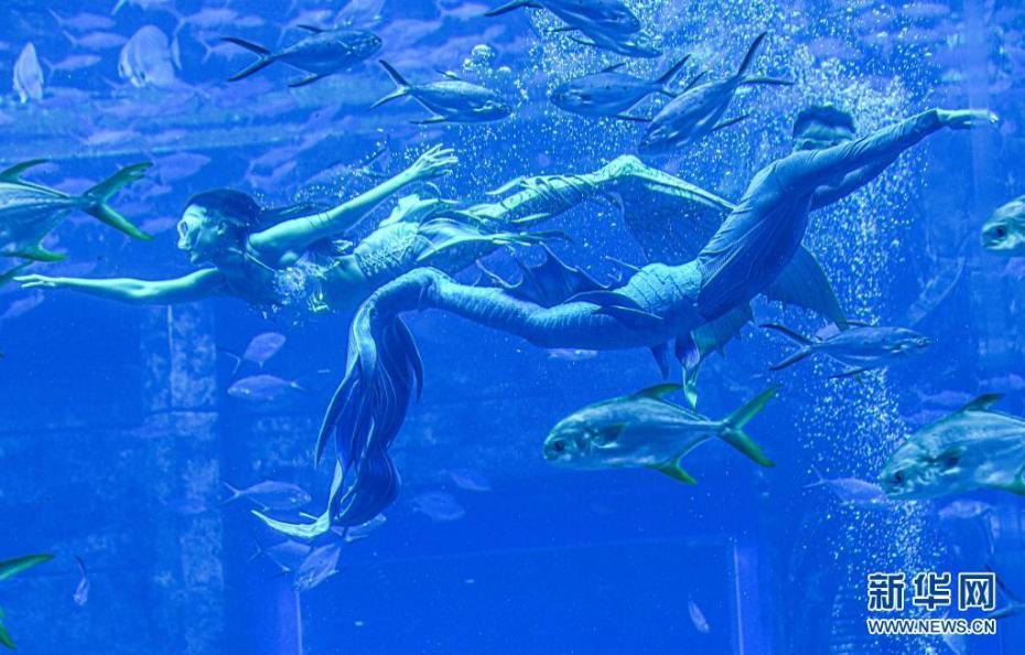 “最大规模水下人鱼秀”创造吉尼斯世界纪录