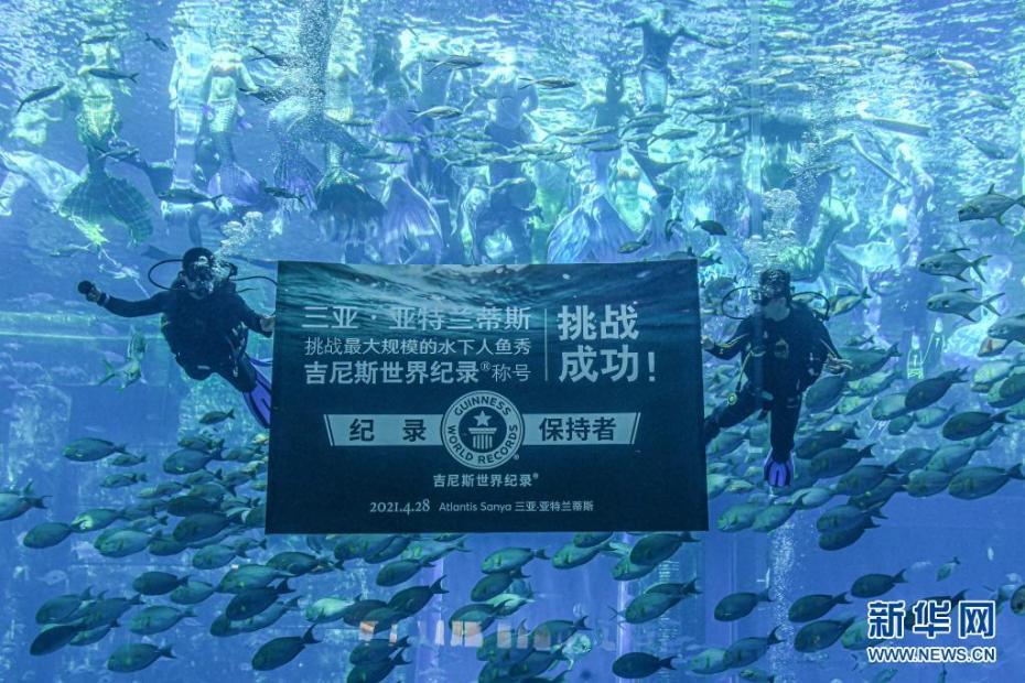 “最大规模水下人鱼秀”创造吉尼斯世界纪录
