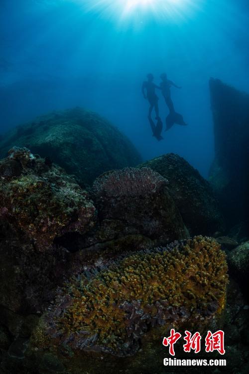 水下摄影师拍三亚：海底世界惊艳曝光