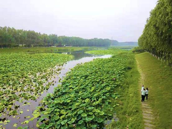 加大采样检测频次 北京房山区生态环境局打响汛期水环境保卫战