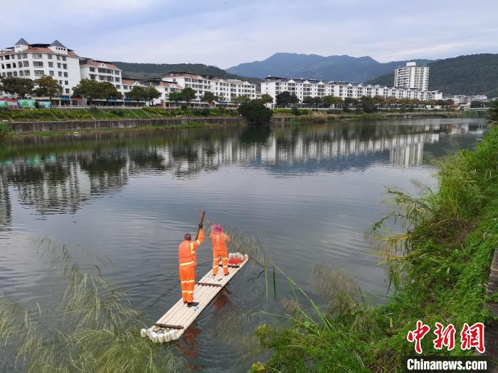 “河长”绘出闽西乡村新画卷：水清河美 宜居宜游