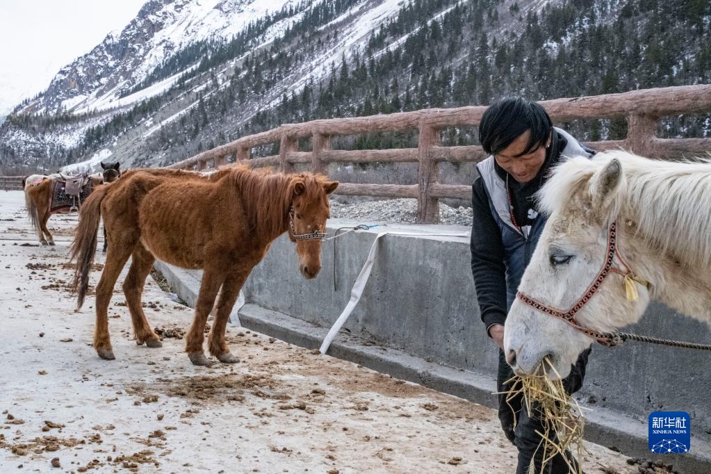 西藏波密：冰川旅游带动村民致富