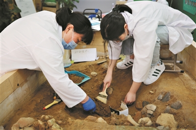 广州将推出多项公众考古项目 想去三星堆发掘文物吗