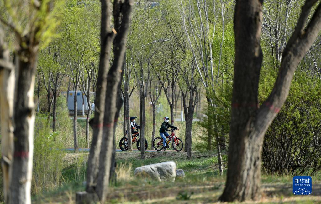 青海西宁：高原上的公园城市
