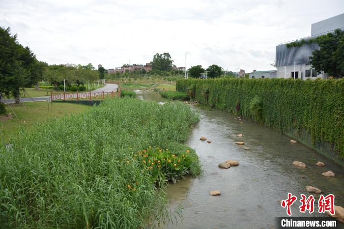 广西南宁沙江河“蜕变”：臭水沟变花园水质堪比矿泉水