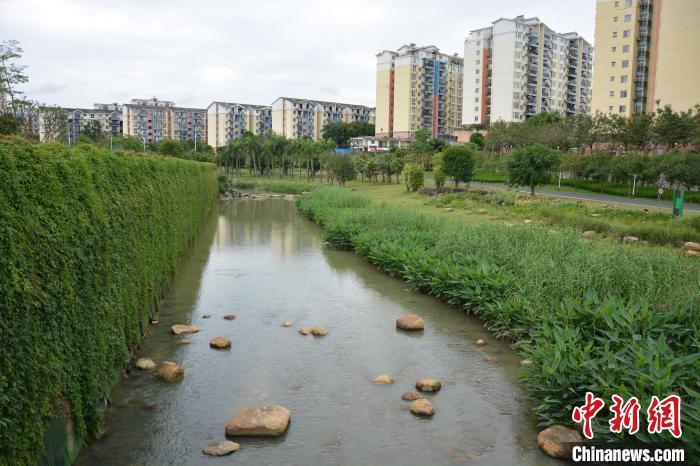广西南宁沙江河“蜕变”：臭水沟变花园 水质堪比矿泉水