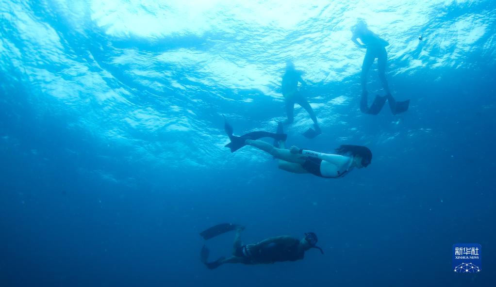 海南陵水举行潜水节