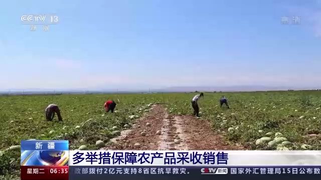 新疆多举措保障农产品采收销售