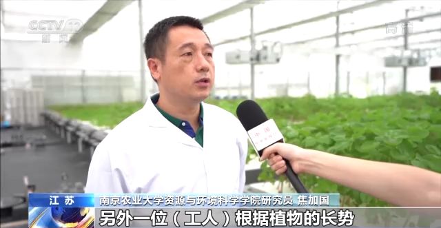 一线调研丨智能化为农业插上快飞的“翅膀”