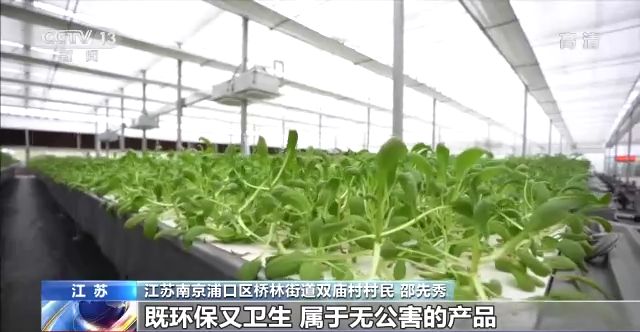 一线调研丨智能化为农业插上快飞的“翅膀”