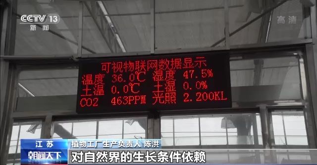 一线调研丨智能化为农业插上快飞的“翅膀”